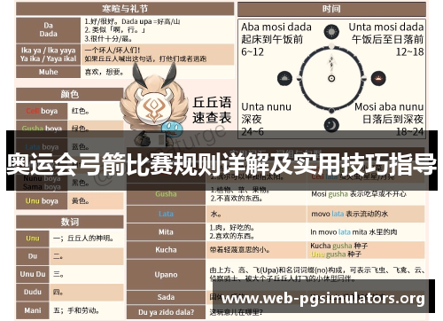 奥运会弓箭比赛规则详解及实用技巧指导