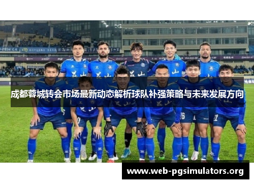 成都蓉城转会市场最新动态解析球队补强策略与未来发展方向