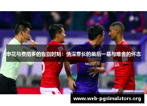 申花与费南多的告别时刻：情深意长的最后一幕与难舍的怀念