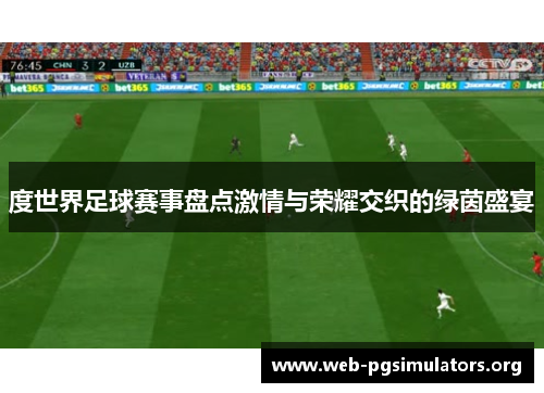度世界足球赛事盘点激情与荣耀交织的绿茵盛宴